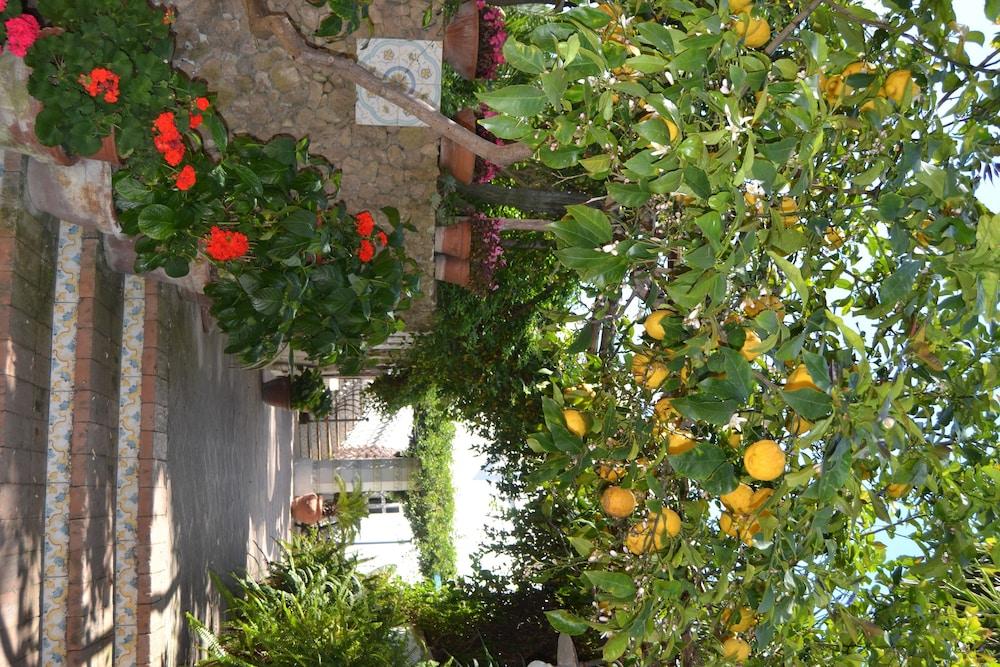 פרוסידה Piccolo Tirreno Hotel Residence מראה חיצוני תמונה