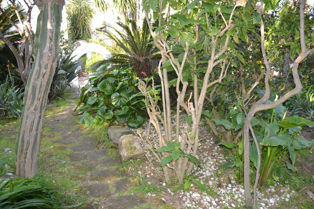 פרוסידה Piccolo Tirreno Hotel Residence מראה חיצוני תמונה