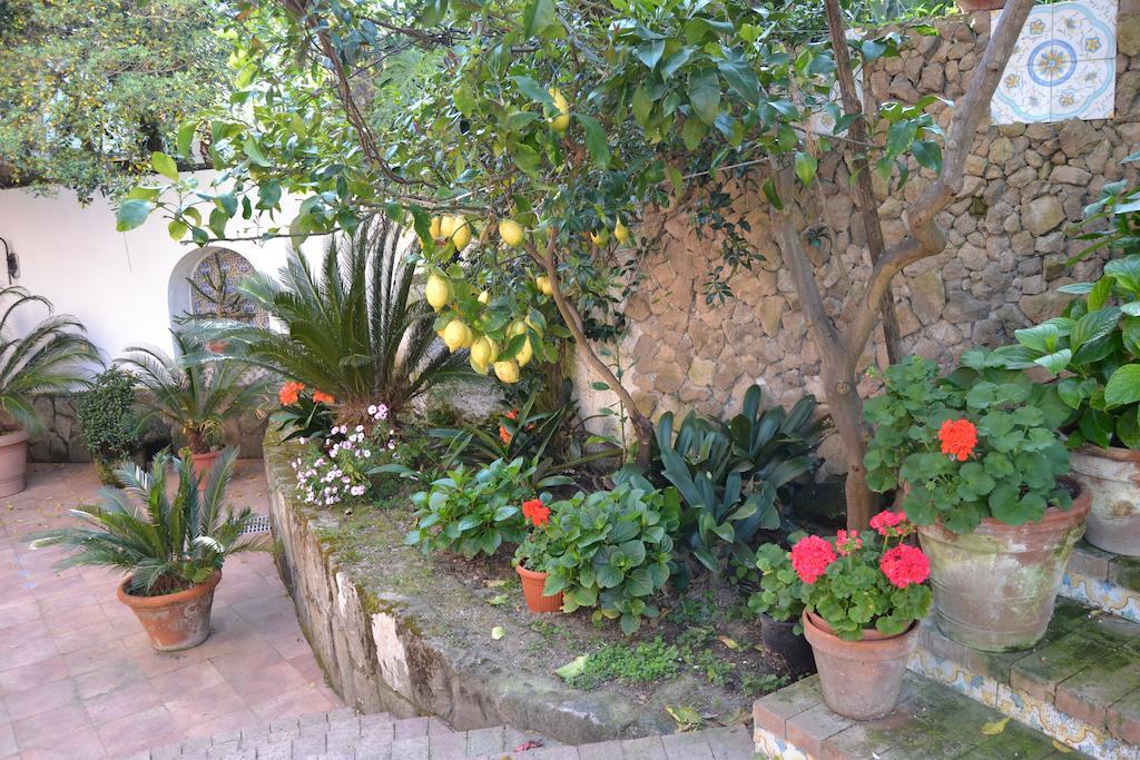 פרוסידה Piccolo Tirreno Hotel Residence מראה חיצוני תמונה