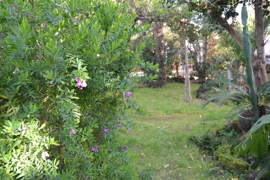 פרוסידה Piccolo Tirreno Hotel Residence מראה חיצוני תמונה