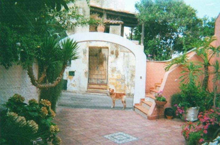 פרוסידה Piccolo Tirreno Hotel Residence מראה חיצוני תמונה
